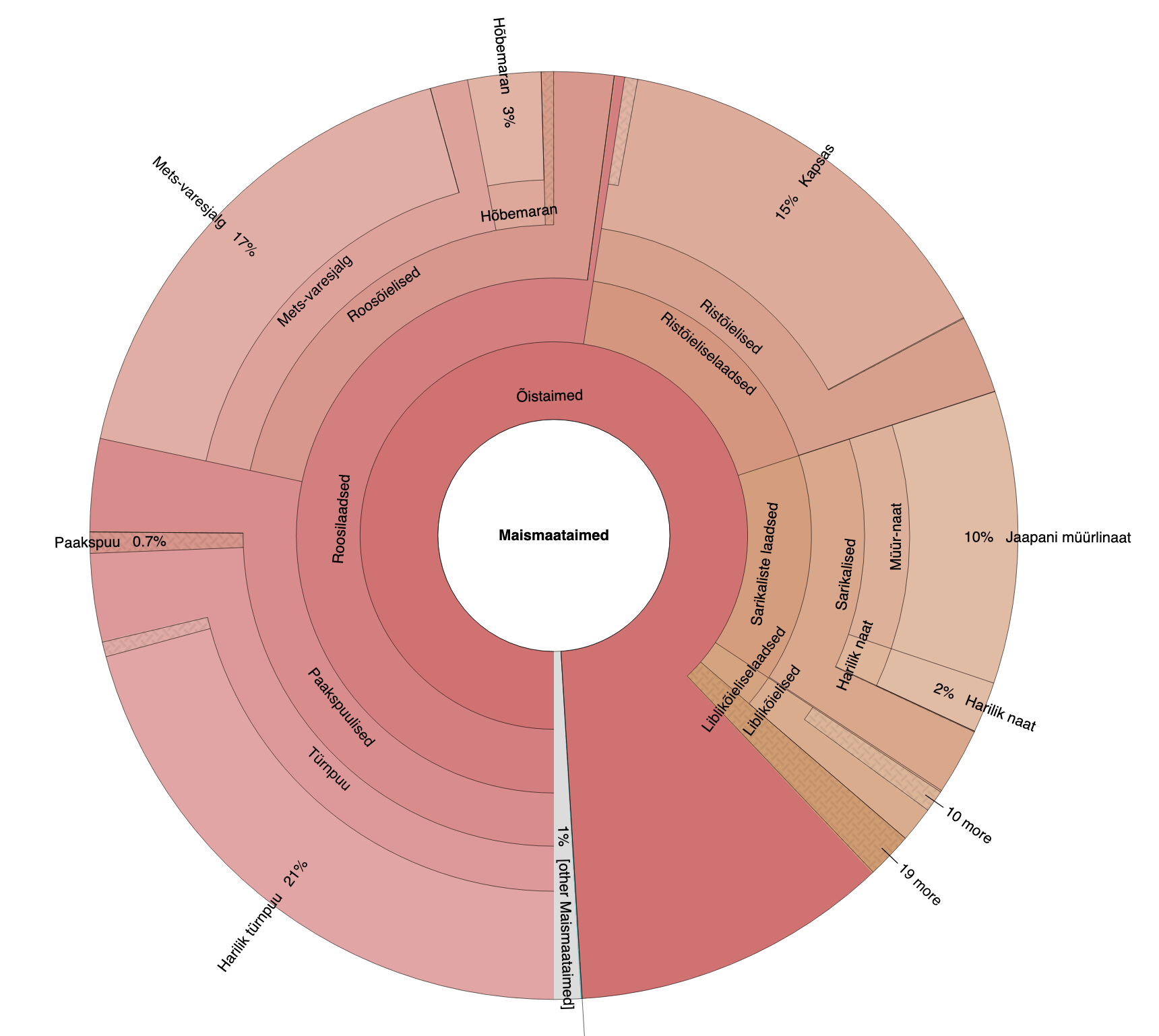 Mee sisalduvate taimede sektordiagramm